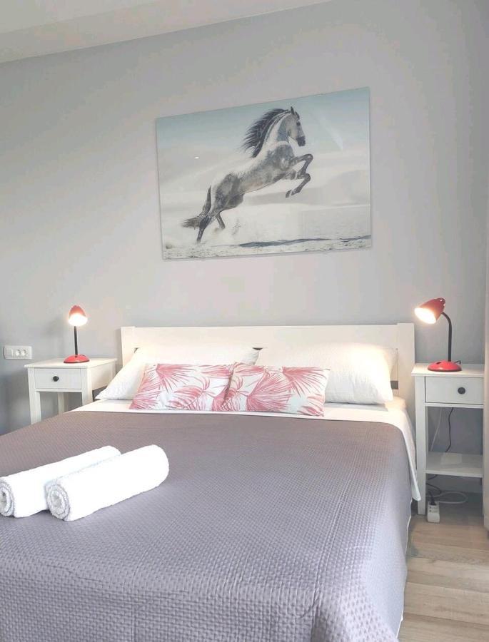 Gorgeous Dubrovnik Sea View Apartment With Free Parking Exteriér fotografie
